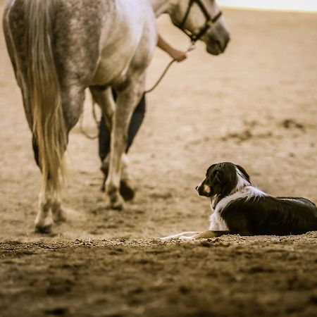 Western Pleasure Guest Ranch 桑德波因特 外观 照片