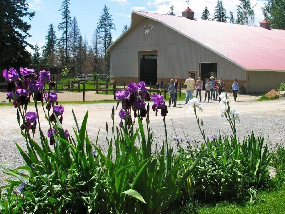 Western Pleasure Guest Ranch 桑德波因特 外观 照片